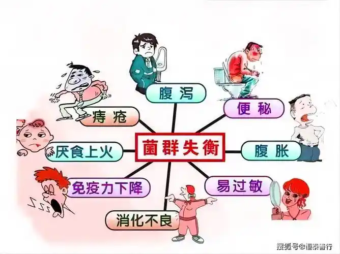 熬夜不仅会垮脸,还会导致肠道菌群失调!