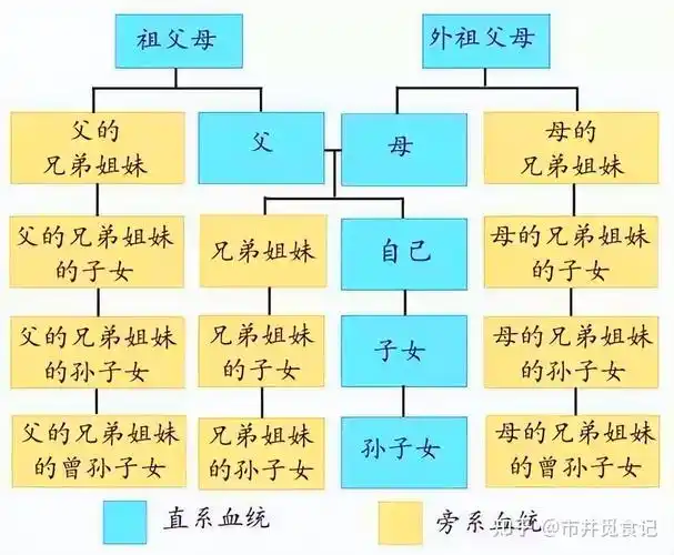 什么是三代直系血亲关系?