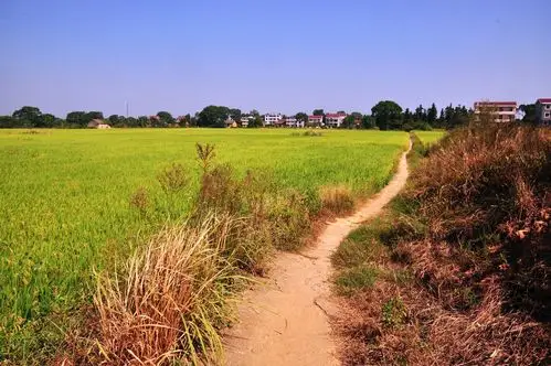 【图片1】金秋的乡村--蜂鸟论坛照片套图