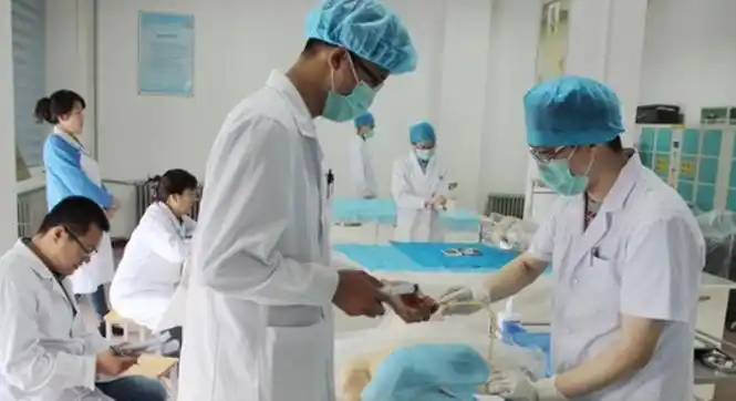 中西医临床医学专业大学排名2022全国最新学科排行榜