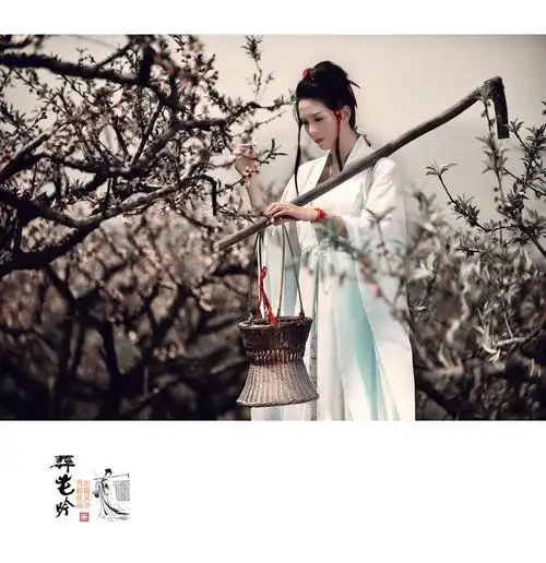 《葬花吟》【鸟叔作品】 (共p)