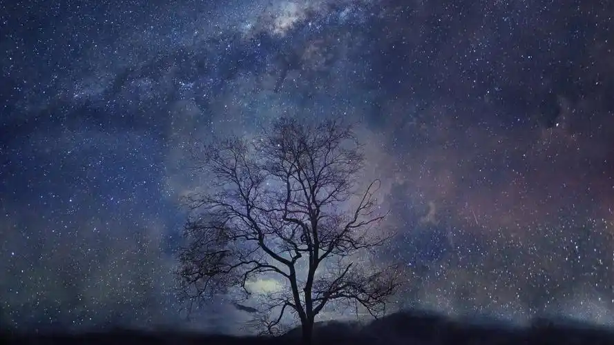 漫天繁星的夜晚壁纸