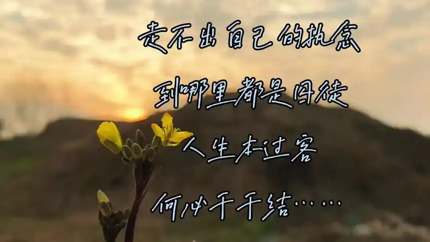 走不出自己的执念,到哪里都是囚徒,人生本过客,何必千千结