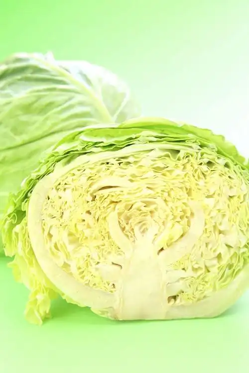 切开的包菜图片