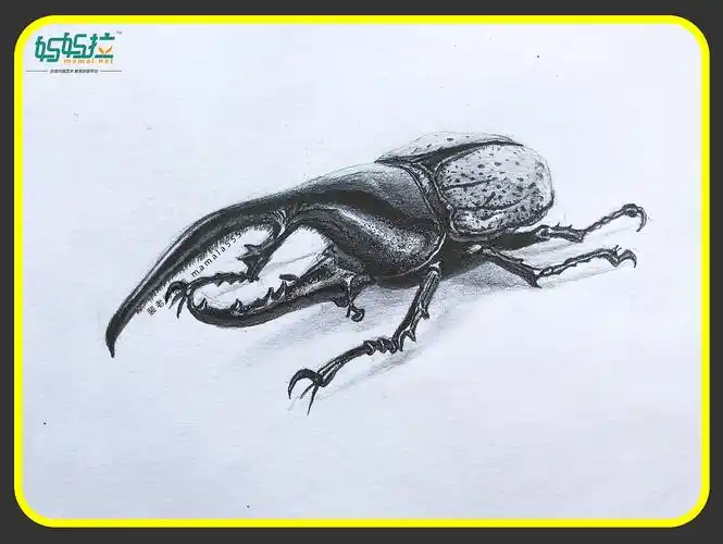 素描长戟大兜虫