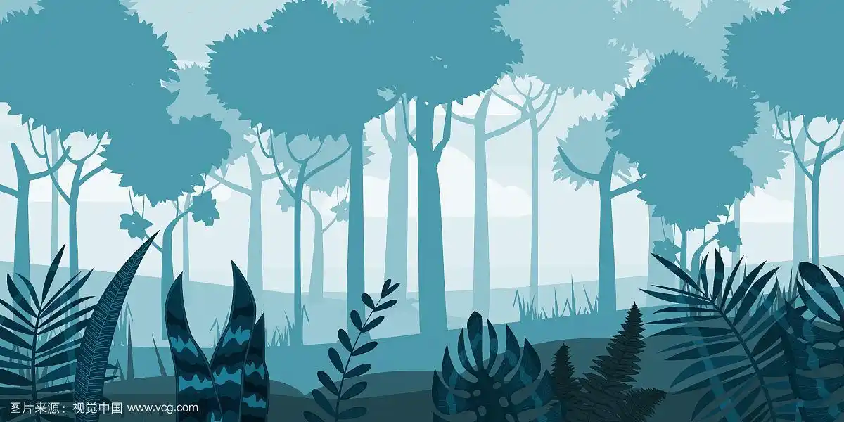 森林剪影,树木,植物丛和