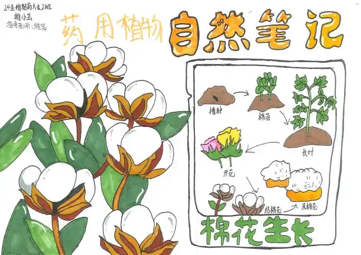 自然笔记征集令