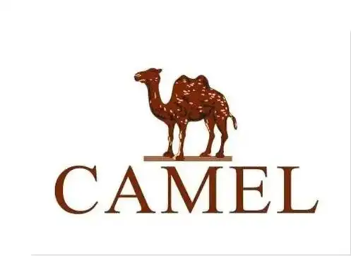 广东骆驼集团,旗下品牌: camel (骆驼户外休闲男装), - 抖音