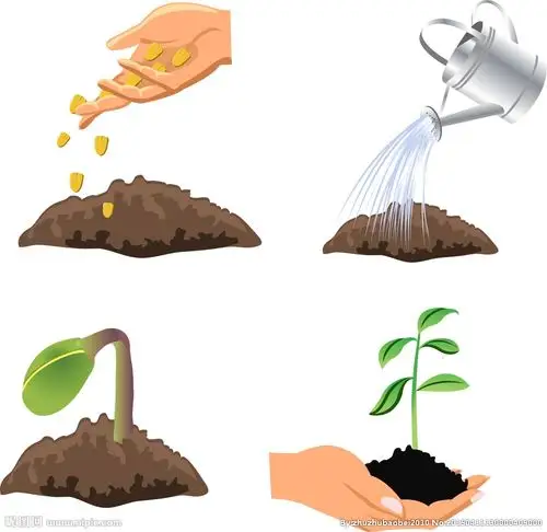 种子发芽过程设计图__卡通设计_广告设计_设计图库_昵图网nipic.com