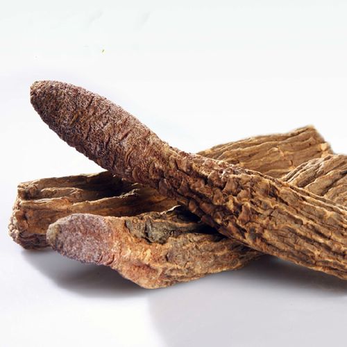 新疆野生金锁阳整根泡酒磨粉阿拉善肉苁蓉男滋补品500克包邮新货