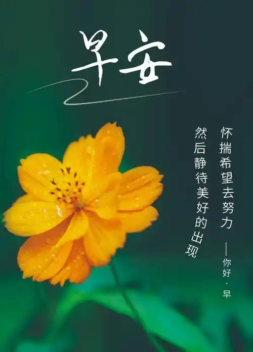 11月19日早安正能量暖心语录句子 清晨早安激励人心的说说图片带字