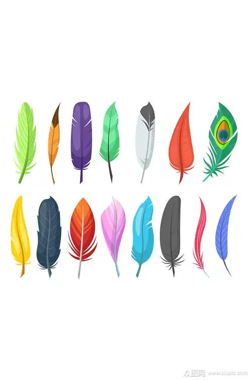 彩色美丽羽毛元素