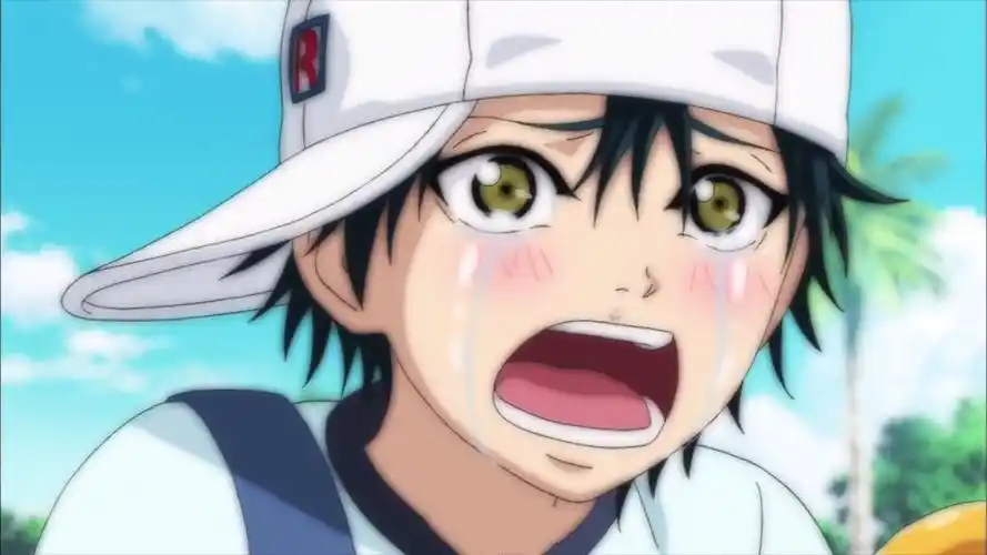 网球王子 越前龙马 超可爱的小柱子～(ˊˋ)