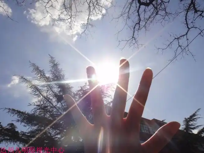 别灰心,这个夏天要与太阳肩并肩.