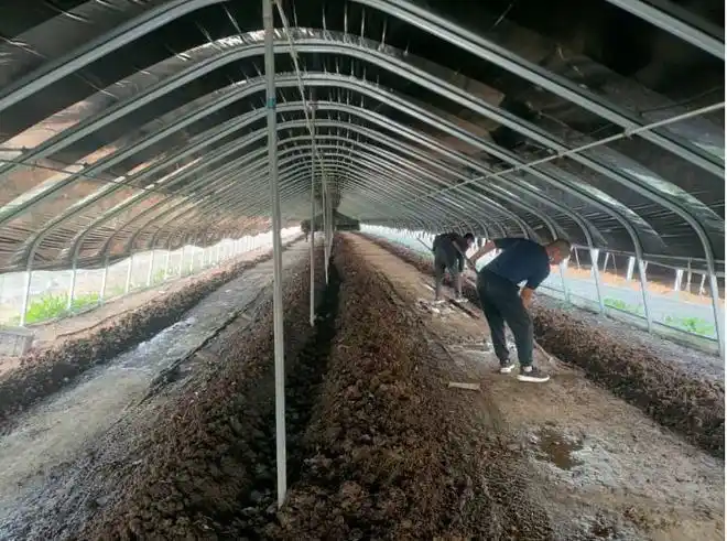 河南沁阳丨小蚯蚓助力乡村振兴|有机肥|饲料|养殖_网易订阅