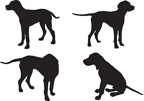 剪影,狗,象征,矢量