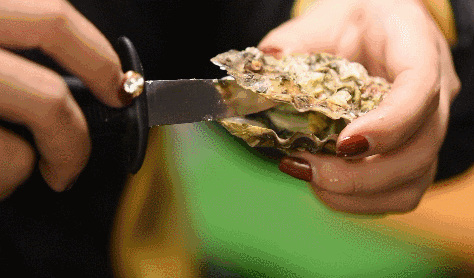 474_278gif 动态图 动图