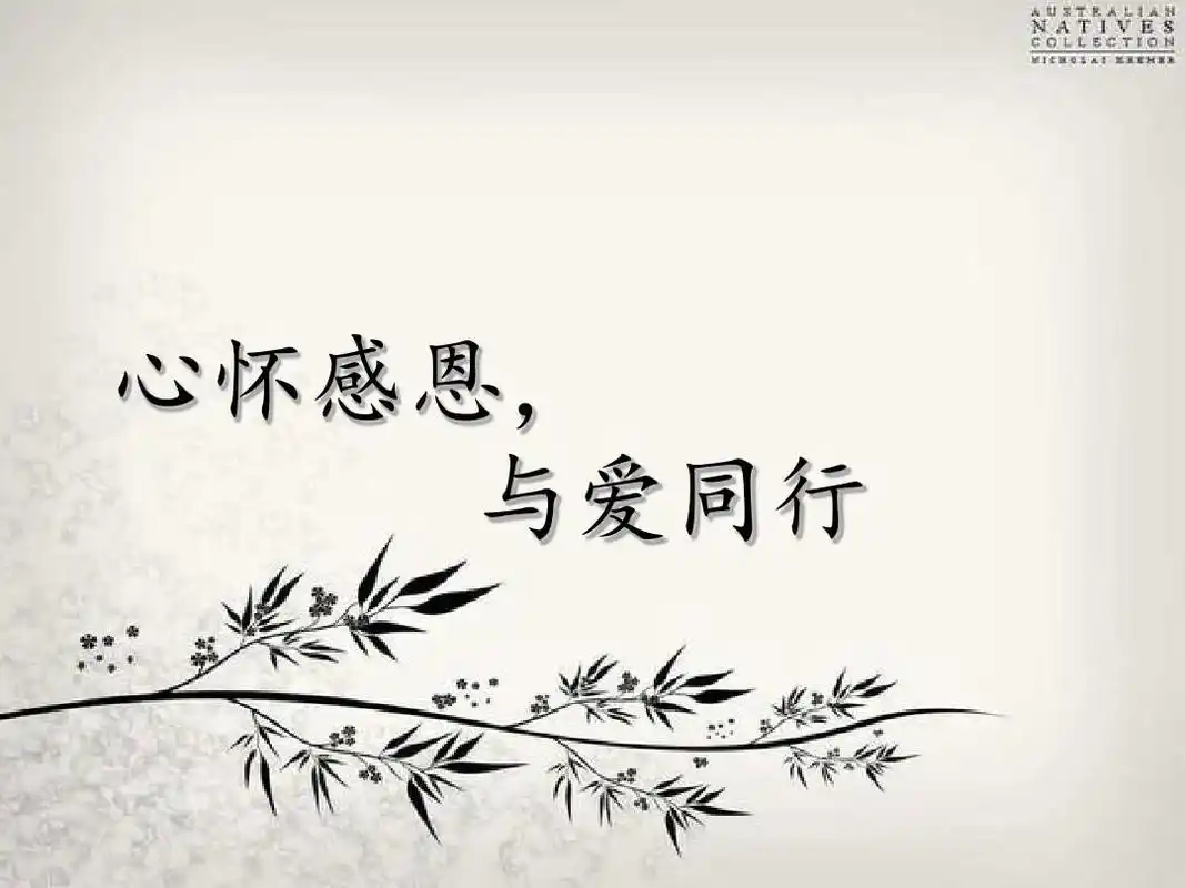 《心怀感恩,与爱同行》主题班会