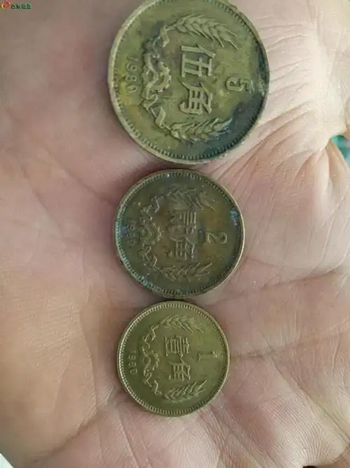 纪念币钞和硬币 - 古泉社区