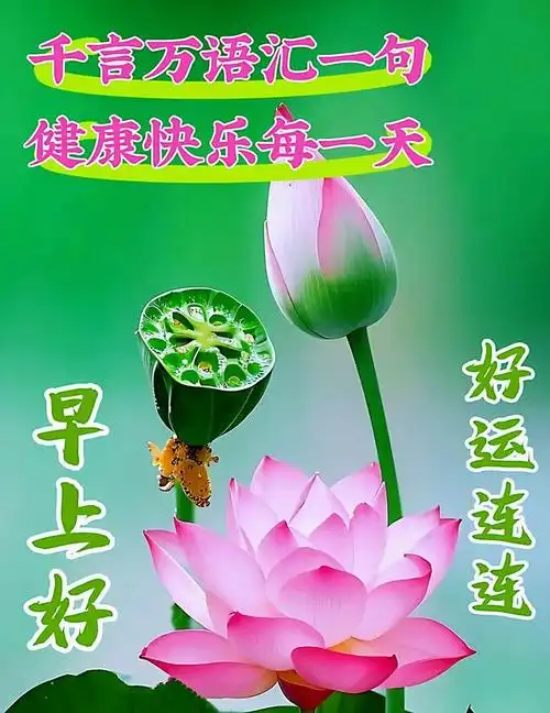8月3日周四早上好早安祝福图片带早上好问候语新的一天吉祥如意周四