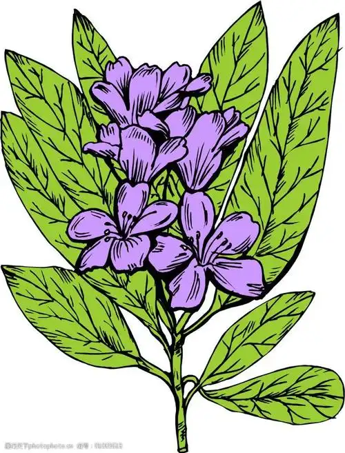 花卉 免费下载 色彩 位图 植物 优雅植物 面料图库 服装设计 图案花型