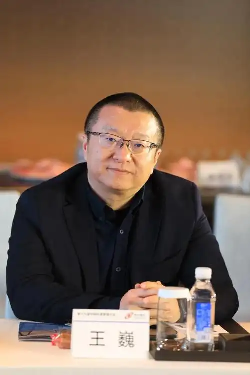 王巍人工智能成功的投融资项目是要落地的