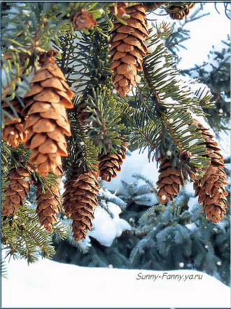 魂牵梦绕采集到动态风景