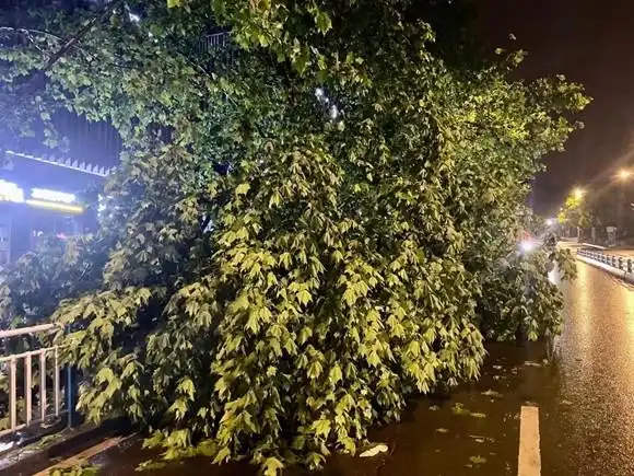 昨夜,你被大风吹醒没?_腾讯新闻