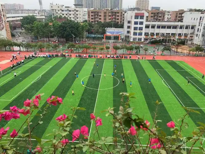 深调研开拓创新迎来新契机生涯规划助力新高考桥乡名校番禺区实验中学