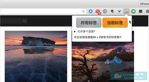 分享一款非常好用的fatkun图片批量下载工具-csdn博客