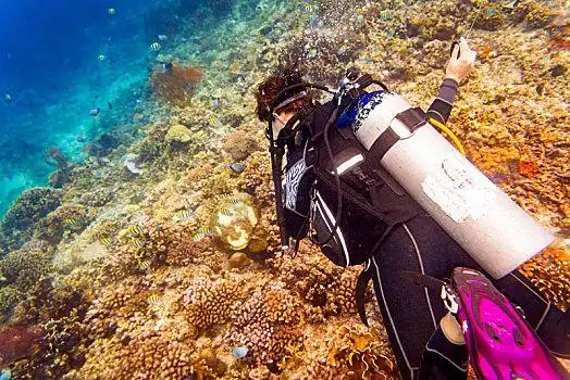 潜水图片_潜水图片大全_潜水图片素材