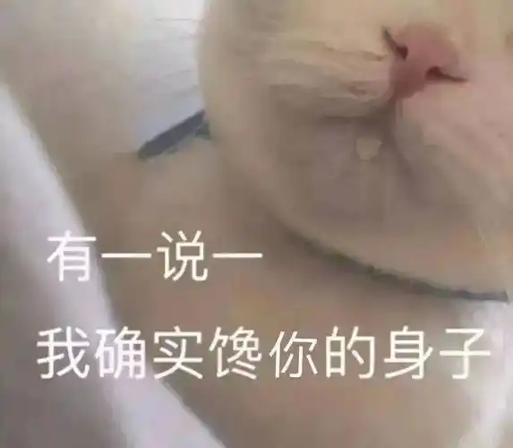 污污涩涩表情包:那我们偷情?