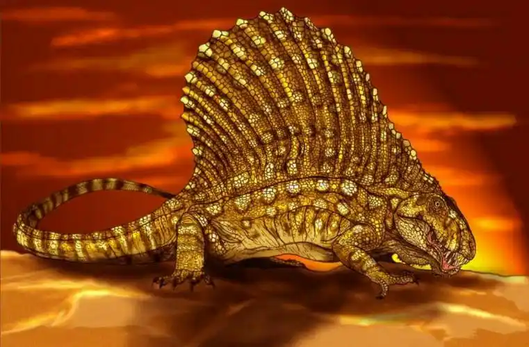 长棘龙哺乳动物的祖先