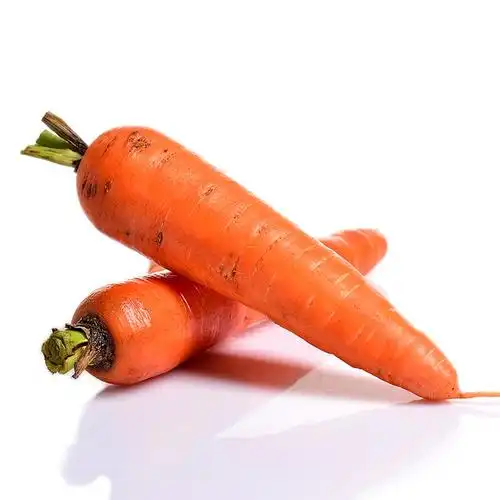 生态胡萝卜 约500g/份 - 蔬菜 - 水果蔬菜 - 中企翔泰国际美食官网