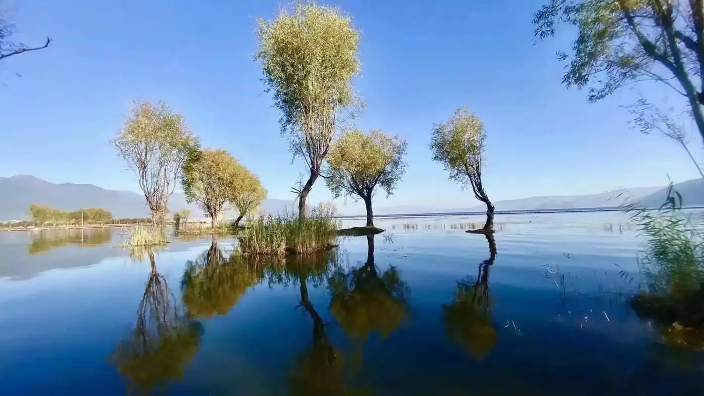 心静自然清#文案 #唯美意境 #所遇皆美好  给 - 抖音