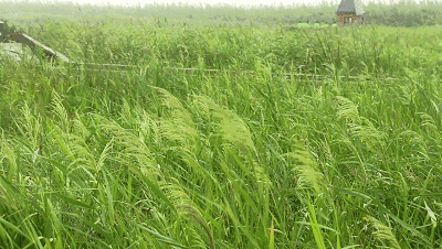 400_226gif 动态图 动图