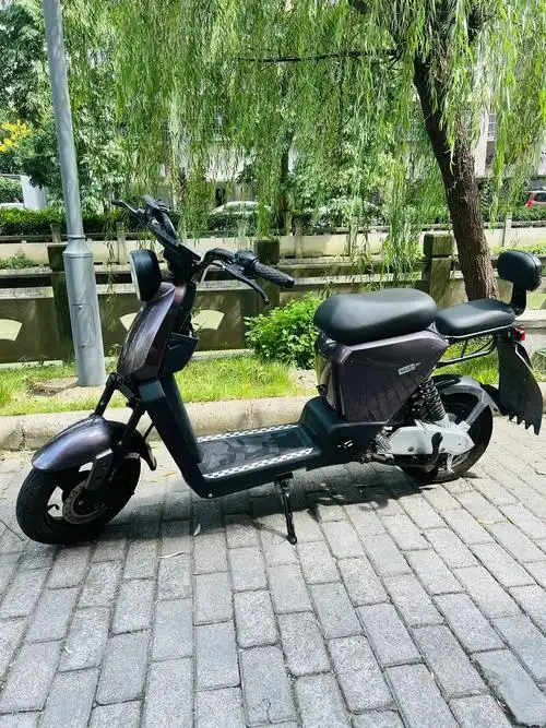 宁波本地出售爱狮牌锂电池二手电动车,锂电池是电池里的爱马仕, - 抖