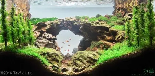 经典的松皮石造景合集