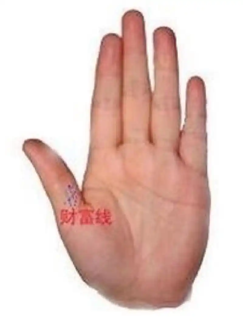 财富线 手相注意男左女右 财富线:看人的正财偏财 财富线——在大拇指