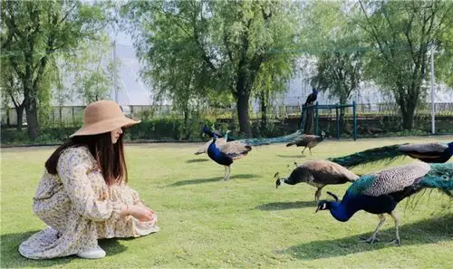 江南花伴湾景区