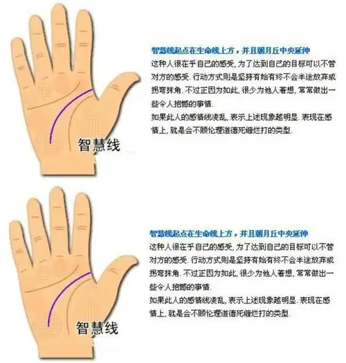 秒懂手相:从智慧线看性格特点