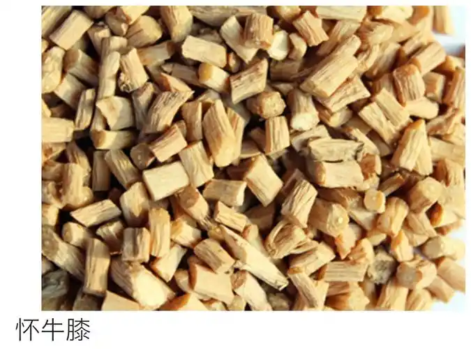 川牛膝和怀牛膝的对比