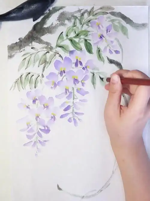 国画示范紫藤花怎么画