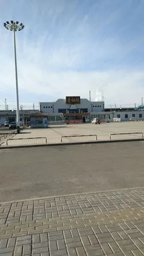 国之重器,西夏王朝之青铜峡神鹰