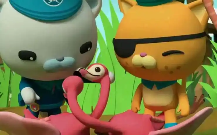 海底小纵队第四季:火烈鸟飞飞离群跑到沼泽地去了,这下危险了!