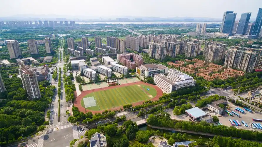 2019对话南京教育追梦人|南京市中华中学党委书记徐飞:让批判性思维