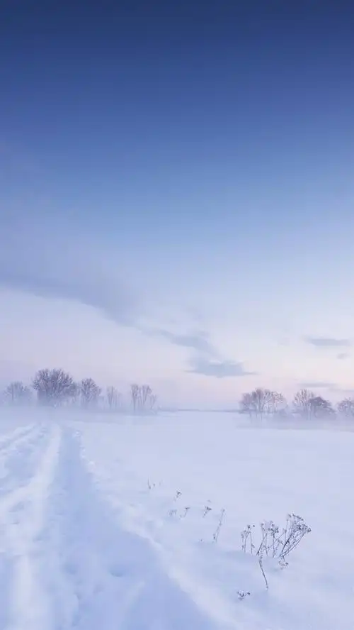 寒冷的冬天,厚厚的雪,白色的世界,雾
