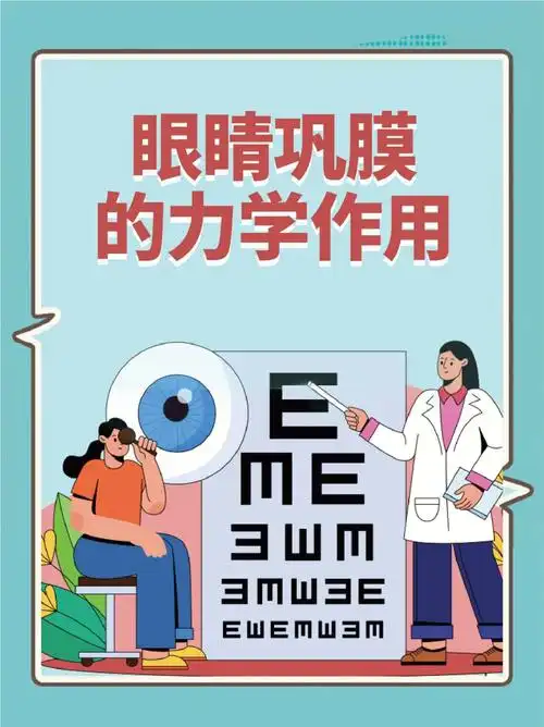 眼睛巩膜的力学作用