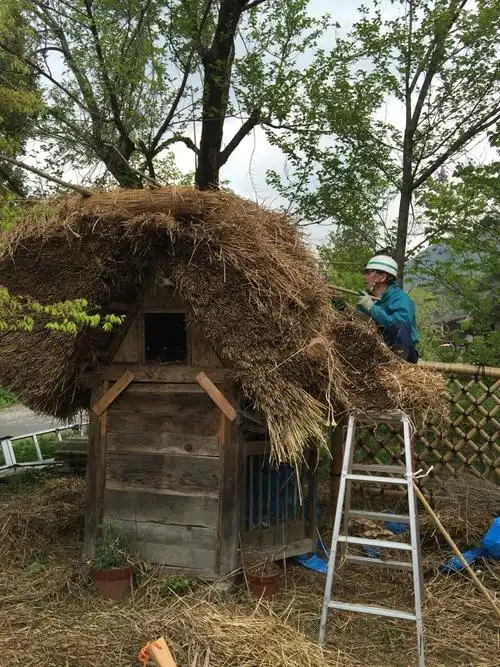 村民用茅草在搭鸡窝