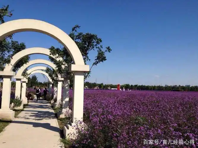 伊甸园美景:伊甸园这个隐世天堂,风景秀丽